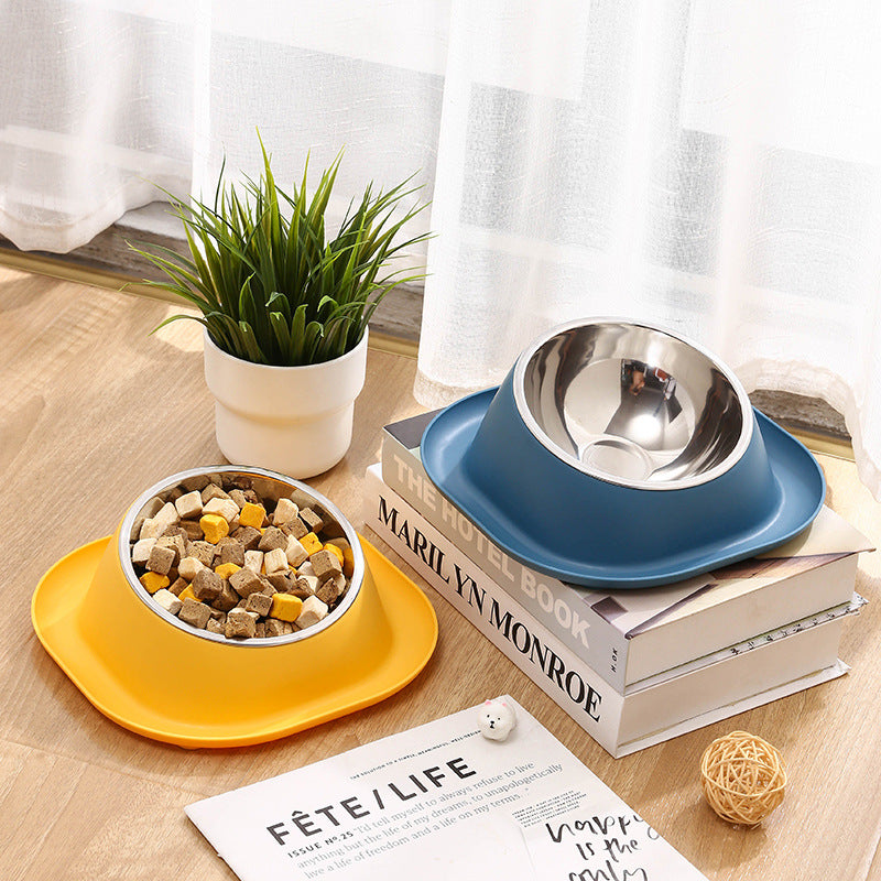Petsup Pet Anti-Ant Bowl Stainless Bowl Ant-Proof Tilted Design For Better Posture For Dogs And Puppy