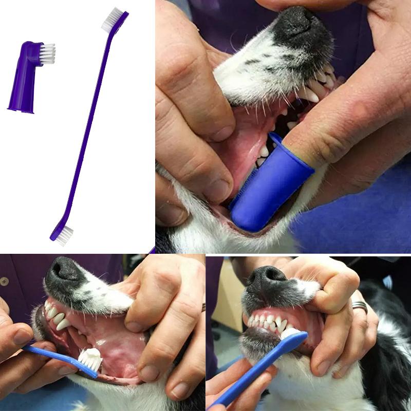 Petsup Dog 4-in-1 Dental Care Teeth Cleaning With Beef Flavor Toothpaste + 3 Toothbrush Kit For Dog