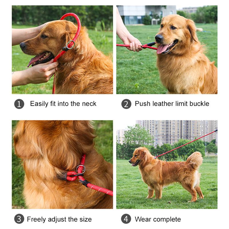 Petsup Pet Heavy Duty Leash Black with Padded Handle Night Reflector Collar Walking Training Nylon Rope For Puppy Dog