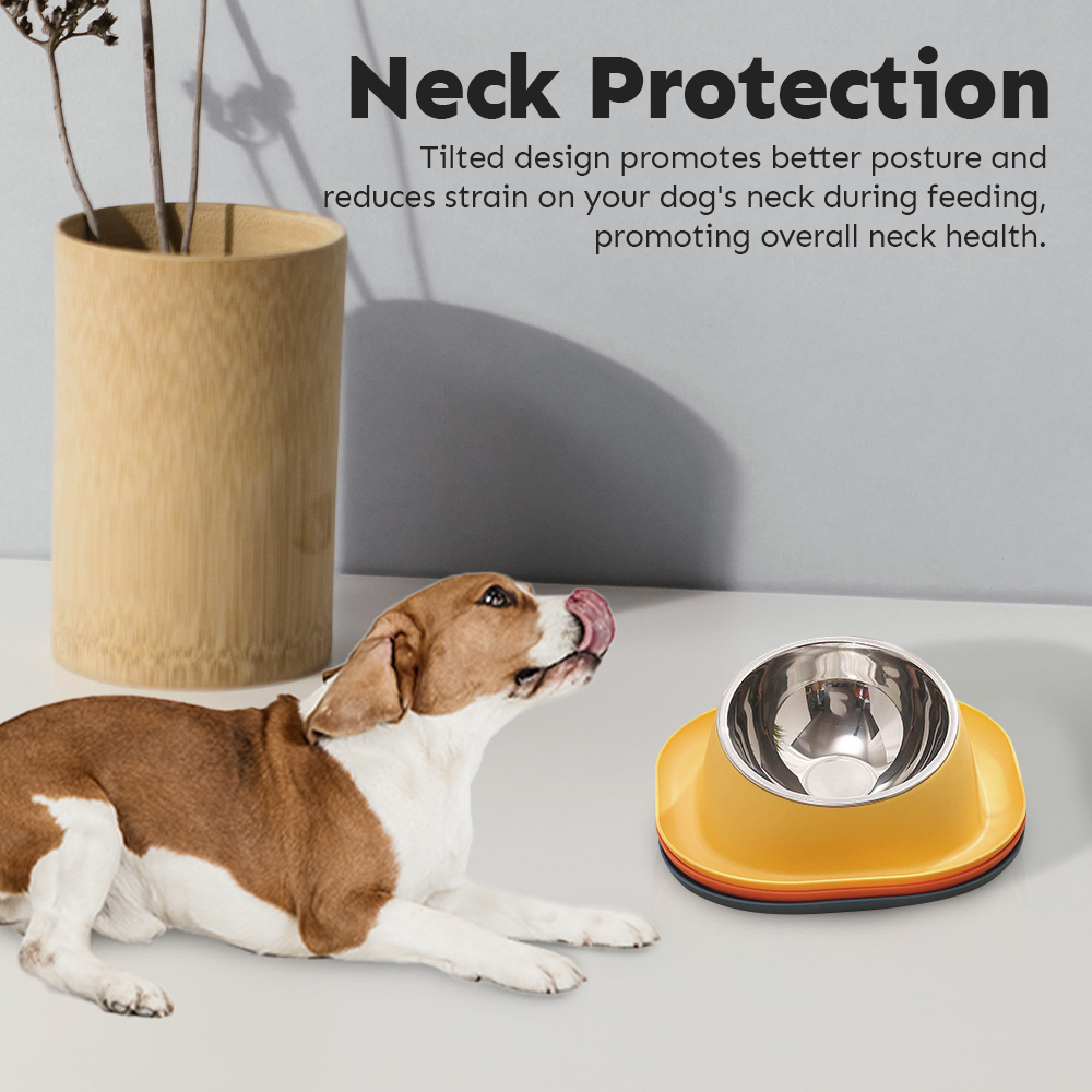 Petsup Pet Anti-Ant Bowl Stainless Bowl Ant-Proof Tilted Design For Better Posture For Dogs And Puppy