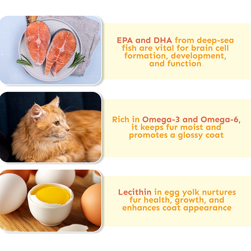 Petsup Cat Wet Food Premium Licky – Fish Oil & Taurine-Infused Wet Treats Supports Urinary Tract Health & Easy Digestion No Artificial Additives Soft & Creamy Snack for Cats & Kittens