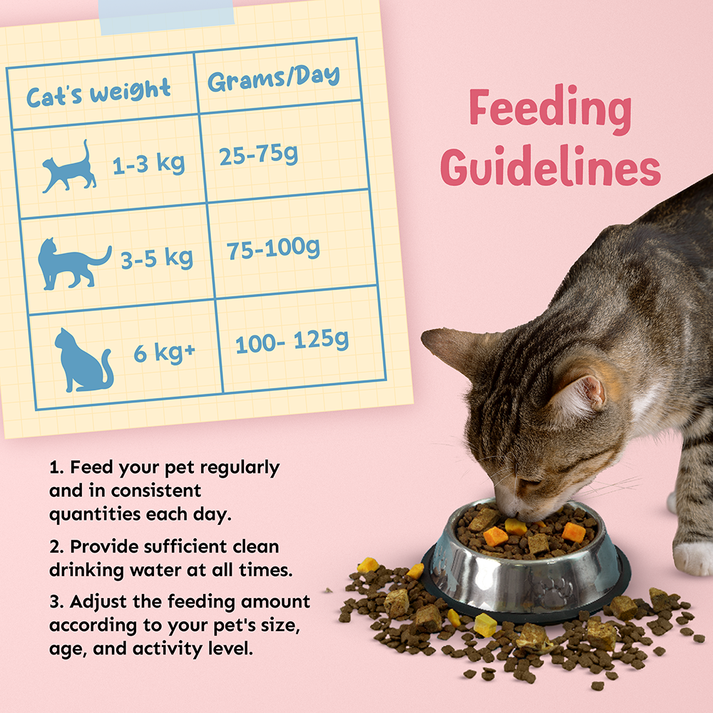 Petsup Freeze Dried Cat Food 1kg - Salmon Tuna Egg Yolk Dry Food Treats for Kitten Adult All Breeds