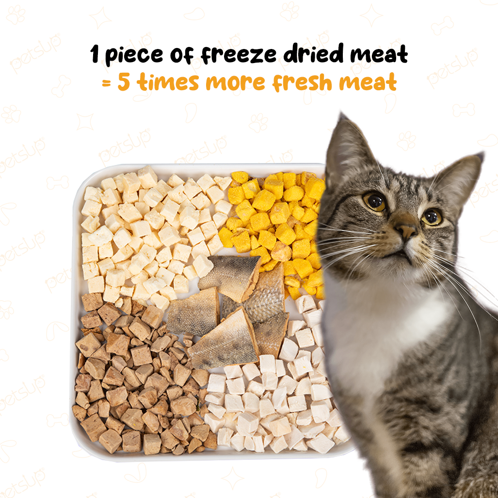 Petsup Beef Freeze-Dried Meat Pet Treats 30g