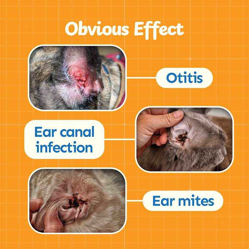 Petsup Pet Ear Drop Eye Drop Cleaning Earwax For Infection Remove Dirt Anti-Bacterial For Dogs Cats