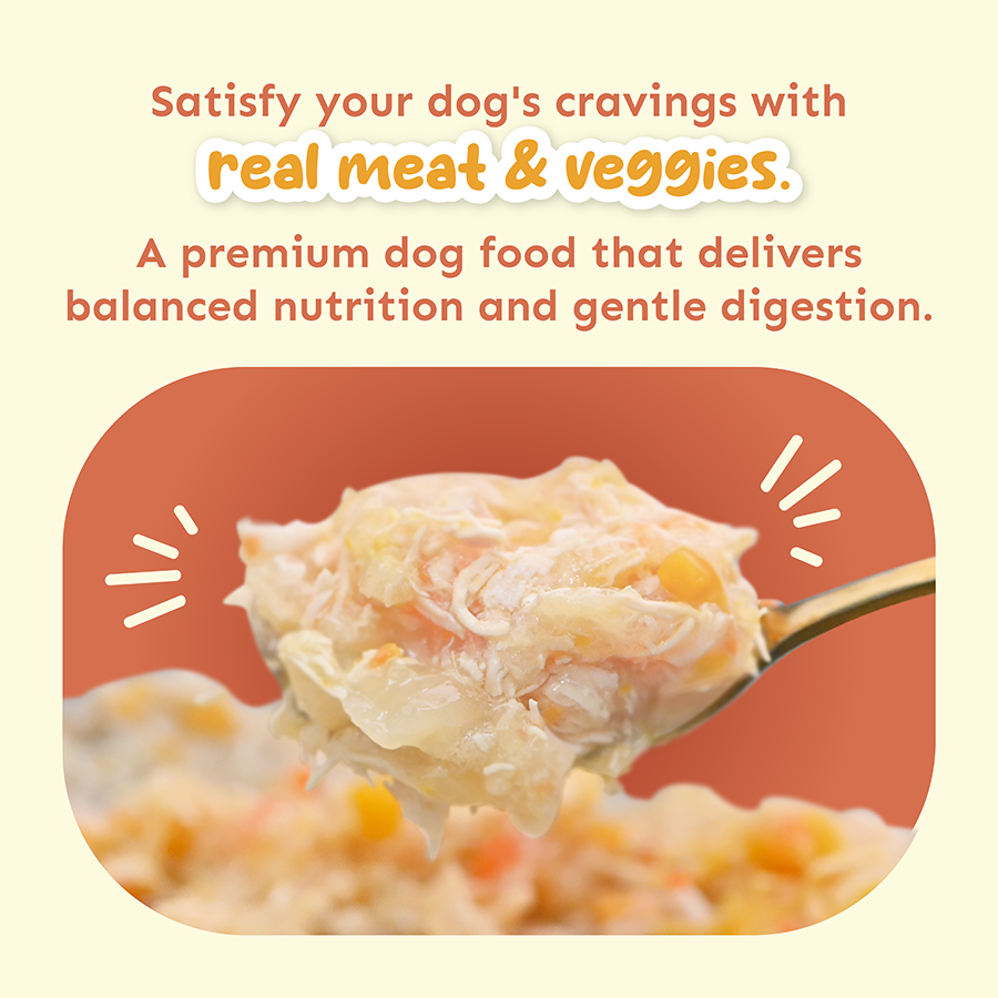 Petsup All Meat Shreddy 170g Can Dog Wet Food Real Duck Chicken Breast Vegetables Healthy Adult Food