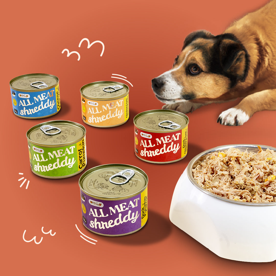 Petsup All Meat Shreddy 170g Can Dog Wet Food Real Duck Chicken Breast Vegetables Healthy Adult Food