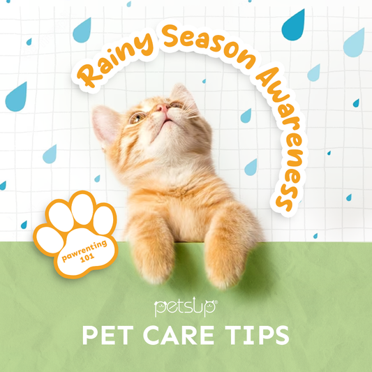 Rainy Season Awareness for Pets