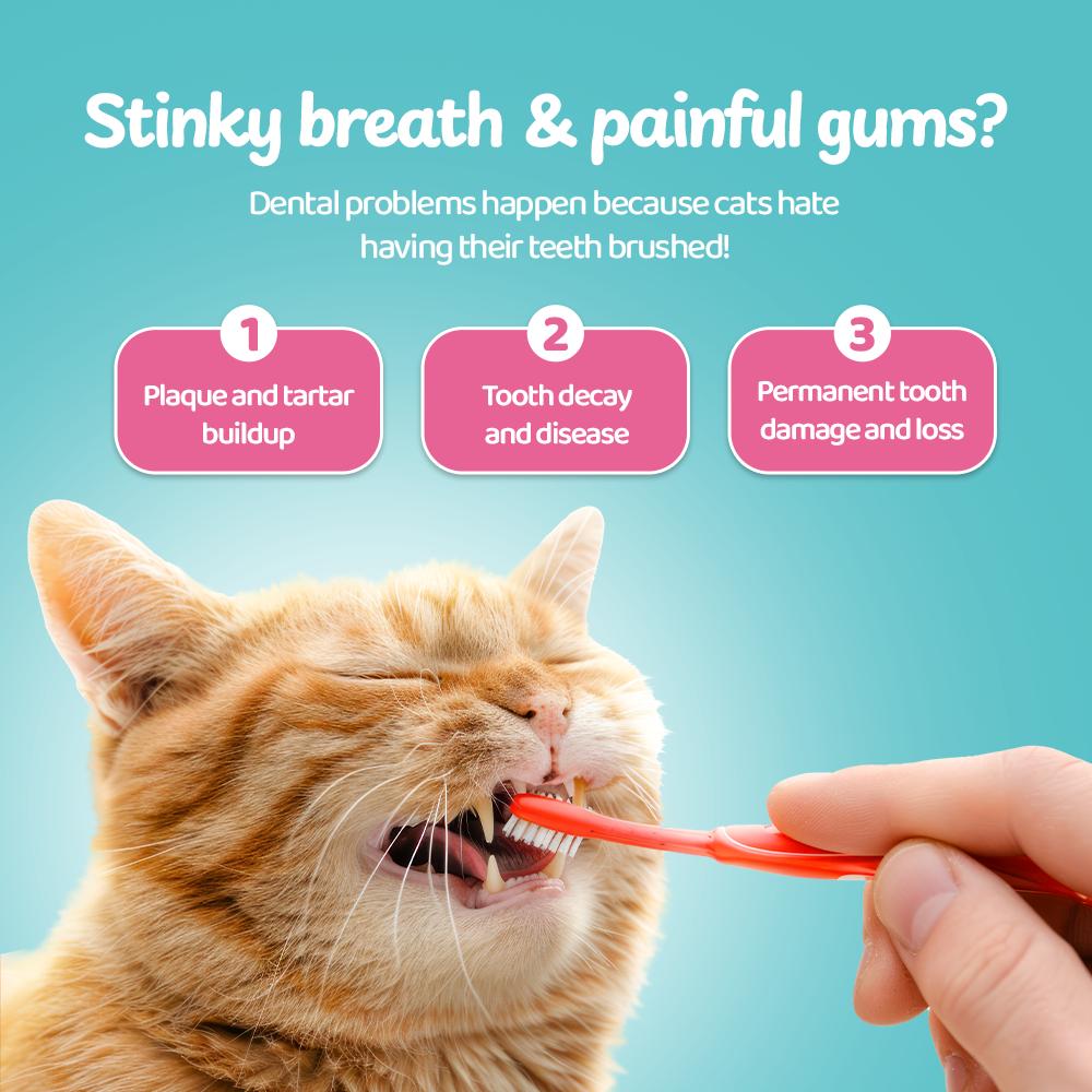 Petsup Freeze Dried Cat Dental Sticks 100% Real Chicken Tea Polyphenols Fresh Breath Tartar Remover Oral Care Multivitamins, Carrots, Probiotics and Prebiotics, Cranberry, Catnip, Egg yolk and Fish oil Supplemental Treats Cat Treats 30g
