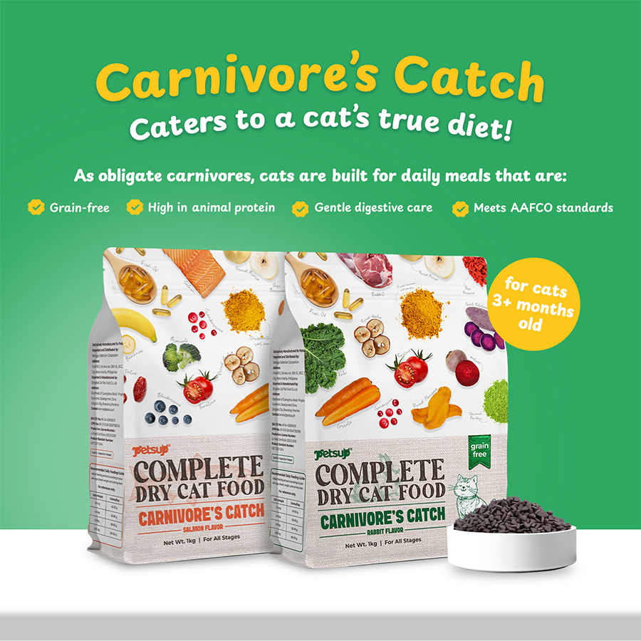 Petsup Complete Cat Dry Food Carnivores Catch Grain Free 1kg Rabbit & Salmon Flavor Novel Protein Complete Nutrition Low Sodium Hypoallergenic Easy to Digest for Picky Eaters Dry Cat Food for All Breeds