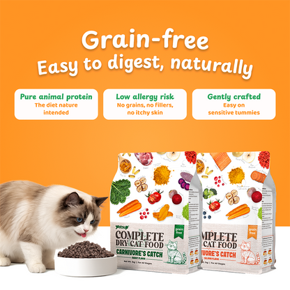 Petsup Complete Cat Dry Food Carnivores Catch Grain Free 1kg Rabbit & Salmon Flavor Novel Protein Complete Nutrition Low Sodium Hypoallergenic Easy to Digest for Picky Eaters Dry Cat Food for All Breeds