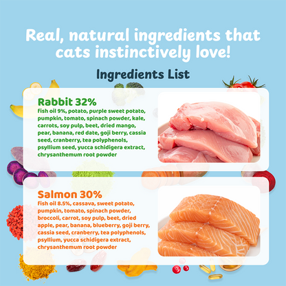 Petsup Complete Cat Dry Food Carnivores Catch Grain Free 1kg Rabbit & Salmon Flavor Novel Protein Complete Nutrition Low Sodium Hypoallergenic Easy to Digest for Picky Eaters Dry Cat Food for All Breeds