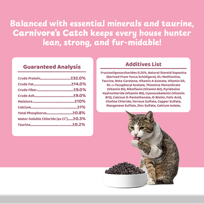 Petsup Complete Cat Dry Food Carnivores Catch Grain Free 1kg Rabbit & Salmon Flavor Novel Protein Complete Nutrition Low Sodium Hypoallergenic Easy to Digest for Picky Eaters Dry Cat Food for All Breeds