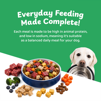 Petsup Complete Nutrition Dry Dog Food 1kg with Freeze Dried Treats Beef Duck Lamb Flavor High Protein Complete & Balanced Nutrition