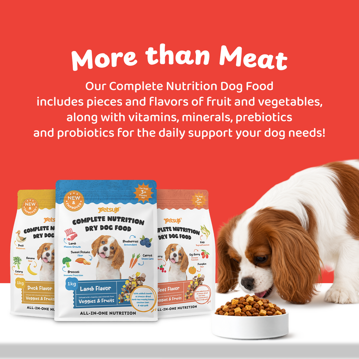 Petsup Complete Nutrition Dry Dog Food 1kg with Freeze Dried Treats Beef Duck Lamb Flavor High Protein Complete & Balanced Nutrition