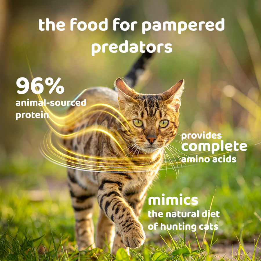 Petsup Complete Wet Cat Food Balanced Nutrition Daily Meal Real Meat High Animal Protein Recipe with Essential Amino Acids Supports Hydration Health Vitamins Probiotics Daily Main Meal For Cats & Kittens, All-Stages 50g