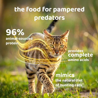 Petsup Complete Wet Cat Food Balanced Nutrition Daily Meal Real Meat High Animal Protein Recipe with Essential Amino Acids Supports Hydration Health Vitamins Probiotics Daily Main Meal For Cats & Kittens, All-Stages 50g