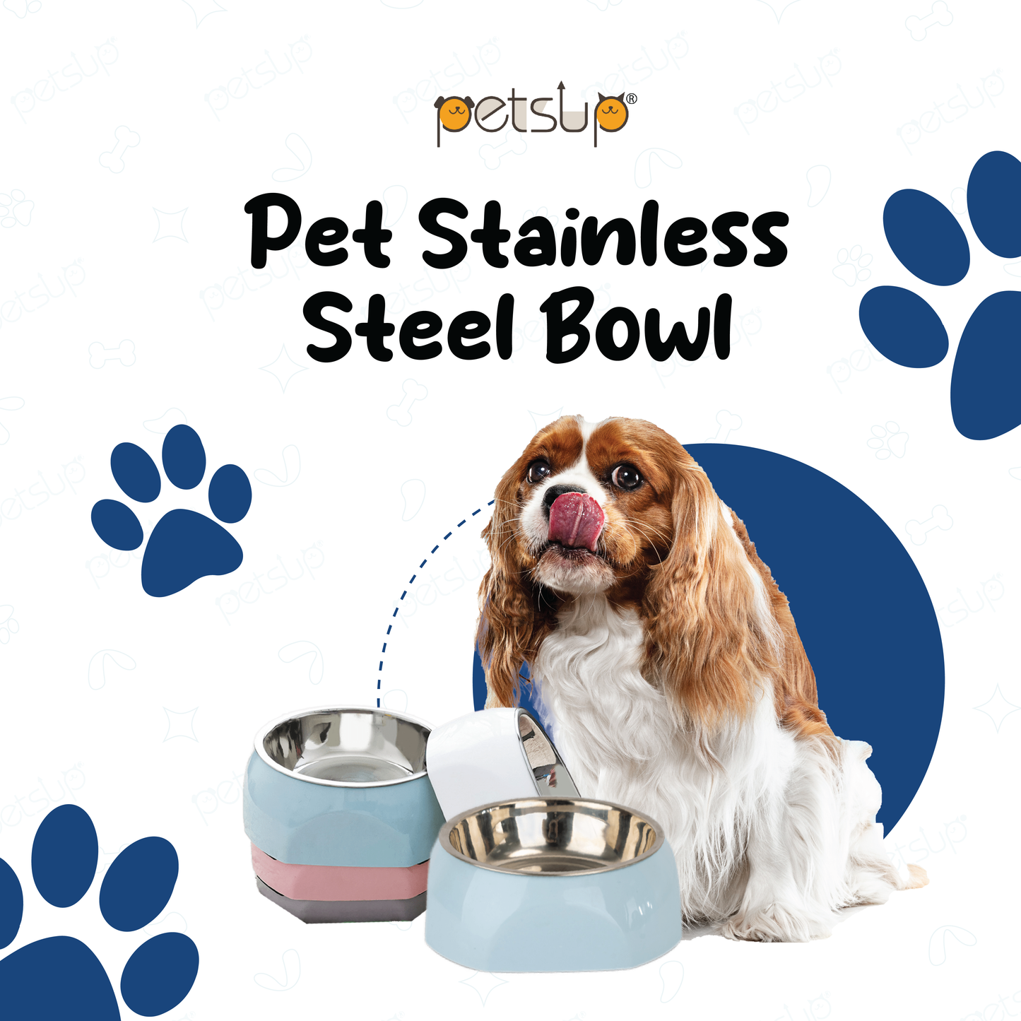 Petsup Stainless Steel Bowl with Non-Slip Plastic Holder (White)