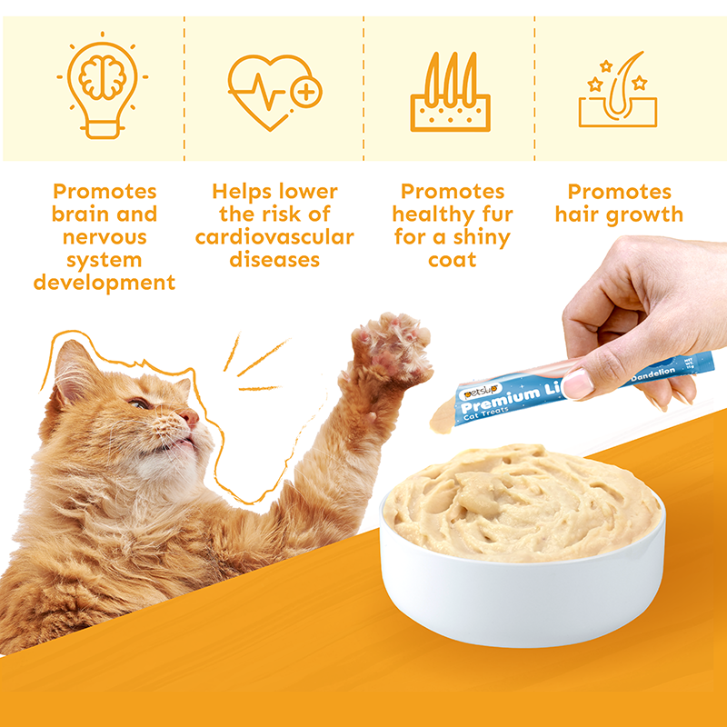 Petsup Premium Licky Cat Treats 120g