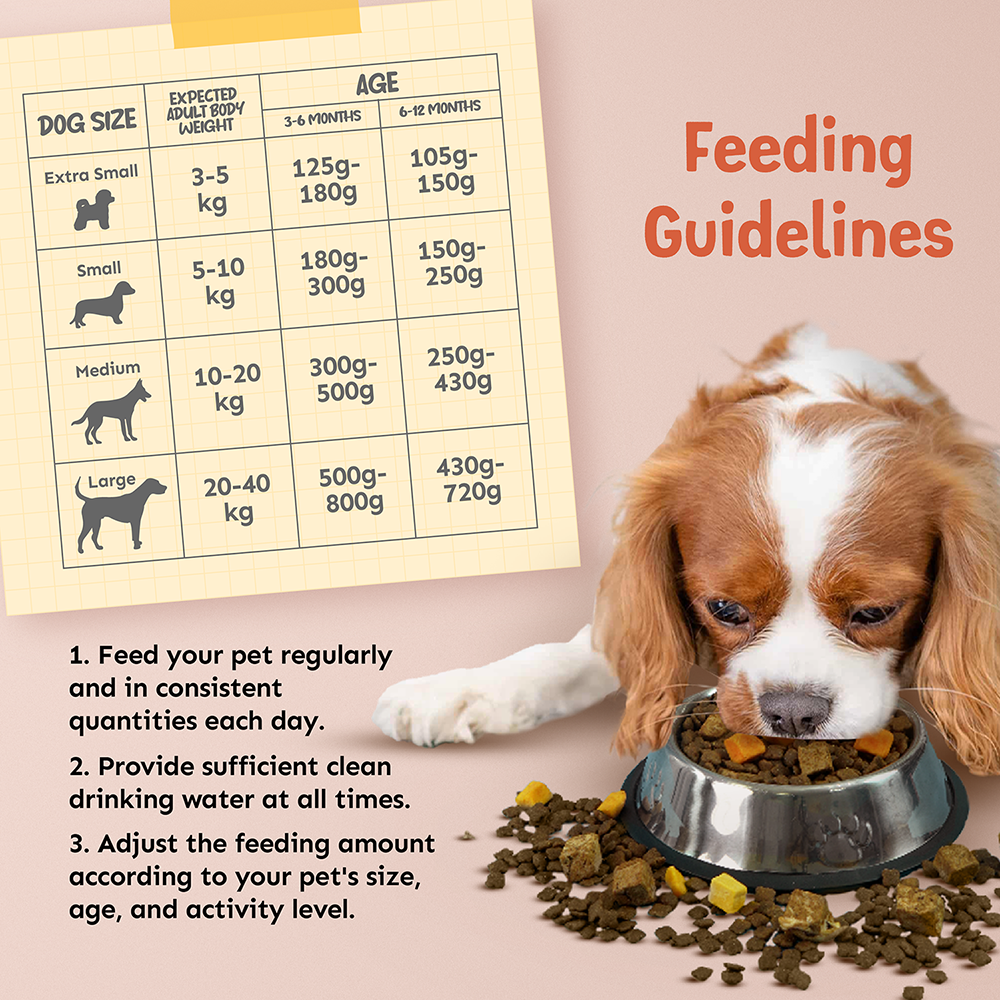 Per Day Great Dane Puppy Feeding Guidelines Per Day Great Dane