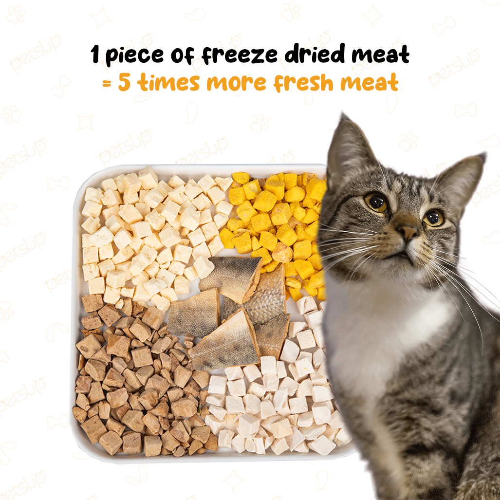 Petsup Shrimp Freeze-Dried Meat Pet Treats 30g