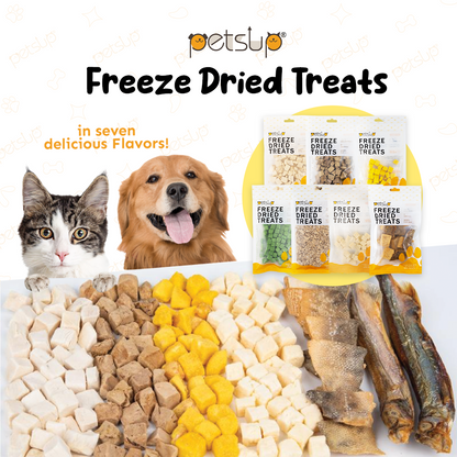 Petsup Salmon Freeze-Dried Meat Pet Treats 30g