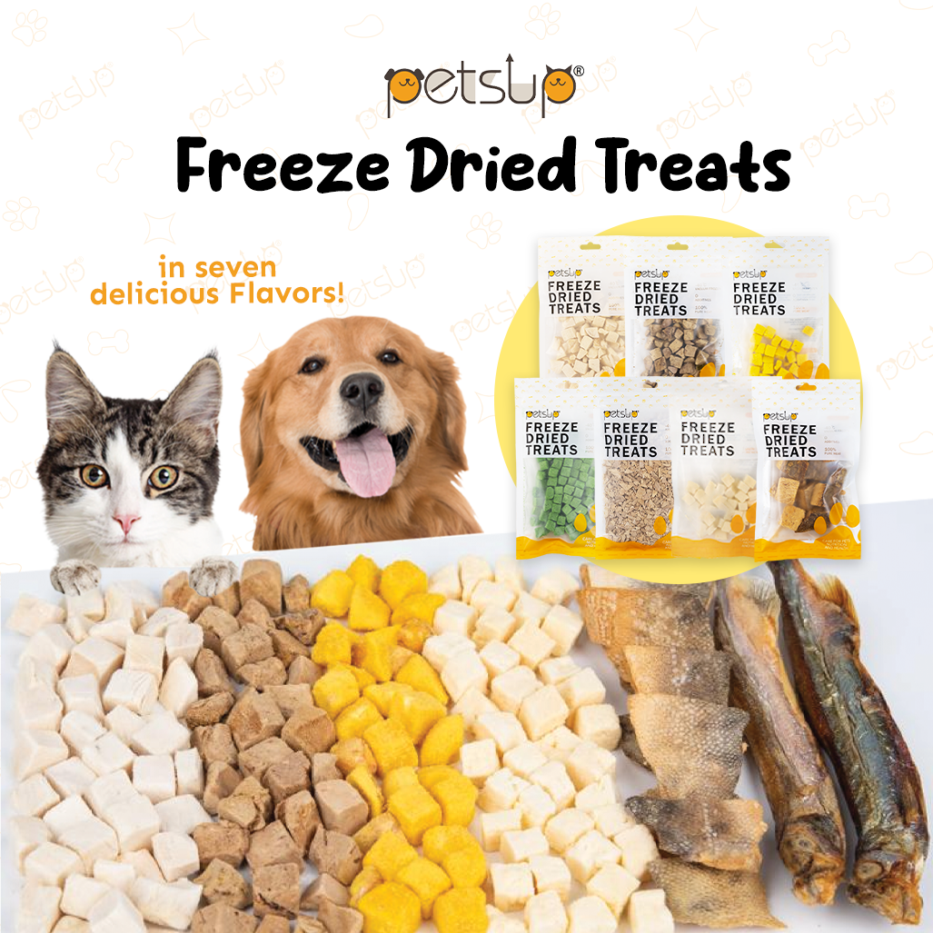 Sojos Complete Dog Food Review (Freeze-Dried) | Dog Food Advisor Sojos Complete Dog Food Review (Freeze-Dried) | Dog Food Advisor