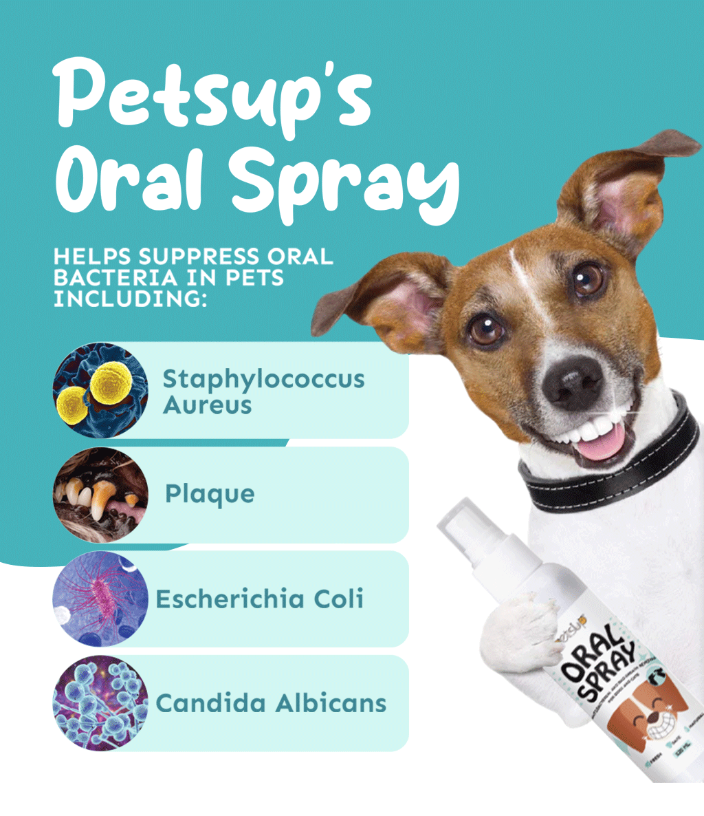 Petsup Pet Refreshing Oral Spray 120ml petsup-pet-refreshing-oral-spray-120ml