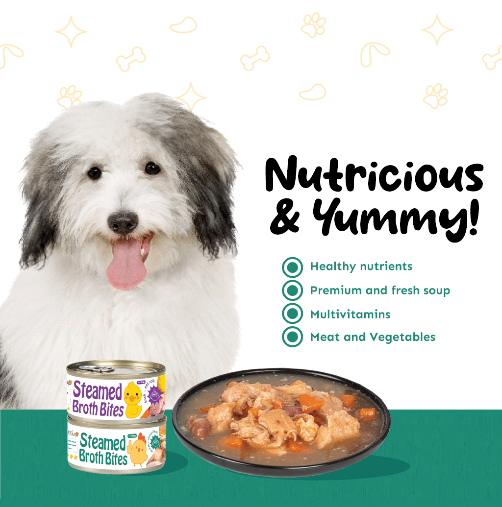 Petsup Steamed Broth Bites Wet Food 170g (with Real Chicken Meat & Chicken Heart)