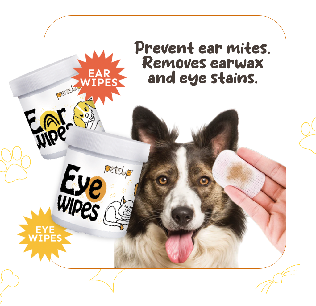 Canine hotsell eye wipes